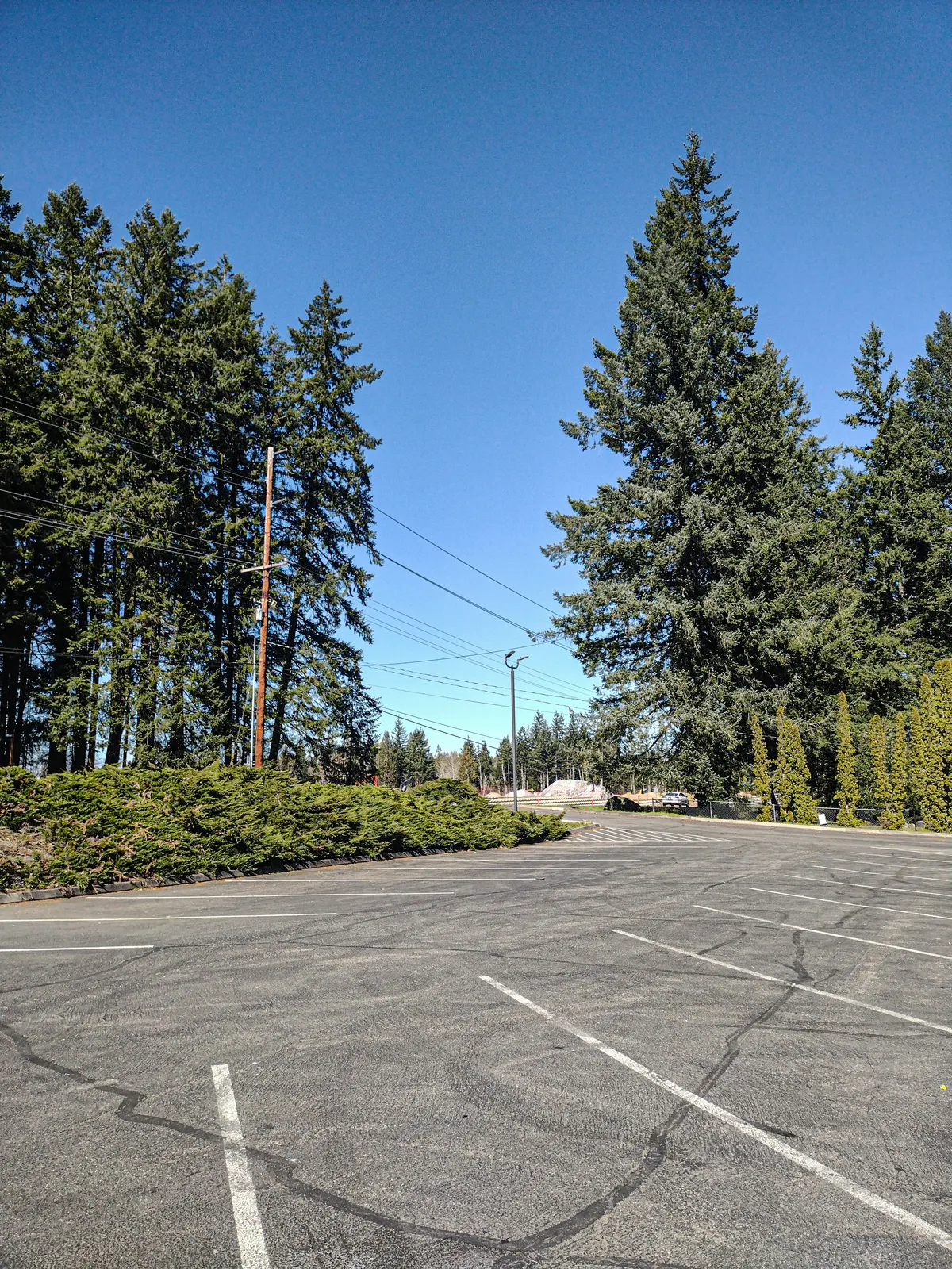 Paved outdoor storage lot lined with trees